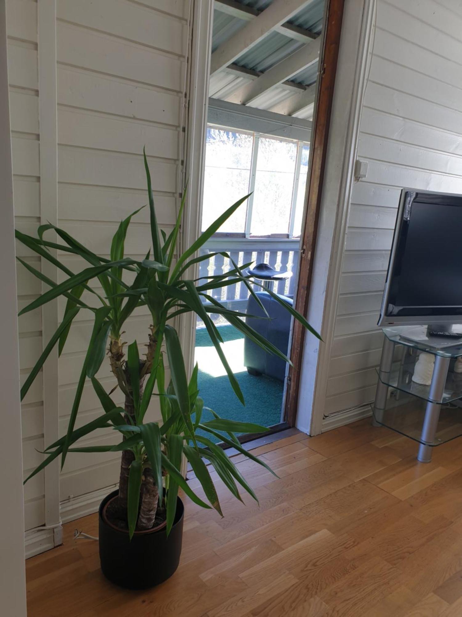 Holiday Home Gol Exterior photo